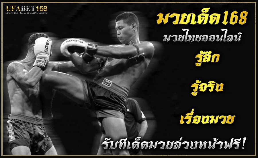 เว็บแทงมวย